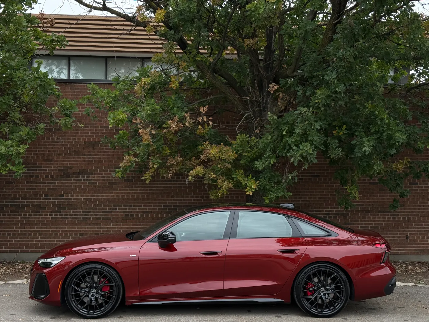 Audi A6 Technik Prestige S-Line  — photo 10