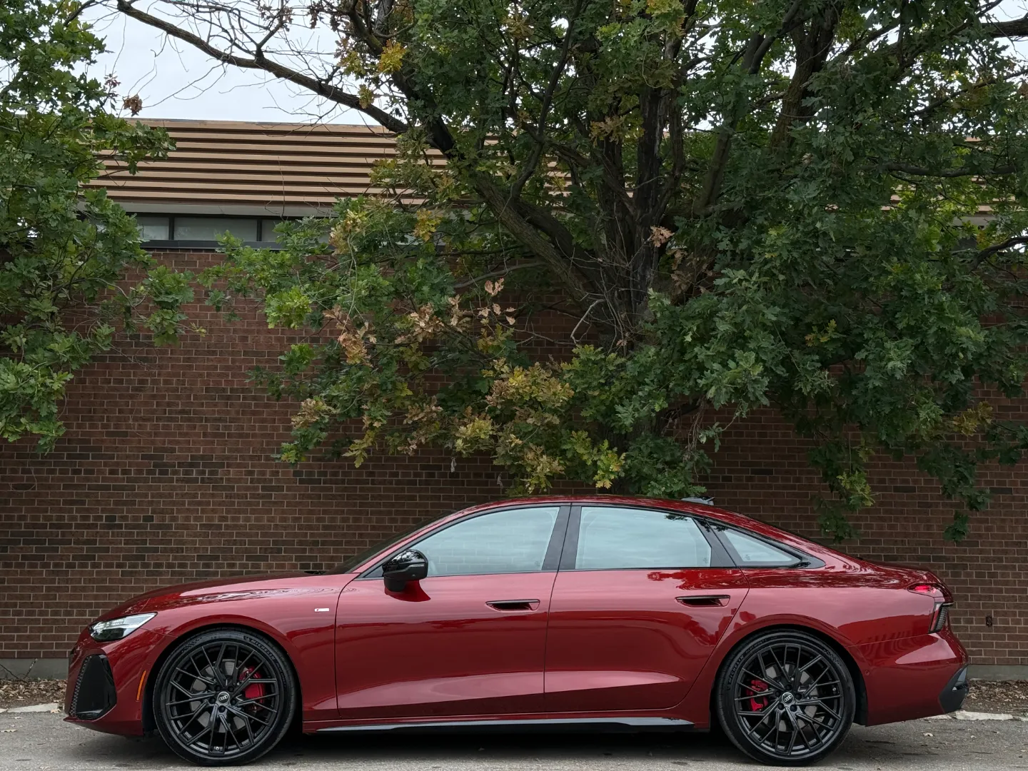 Audi A6 Technik Prestige S-Line  — photo 11