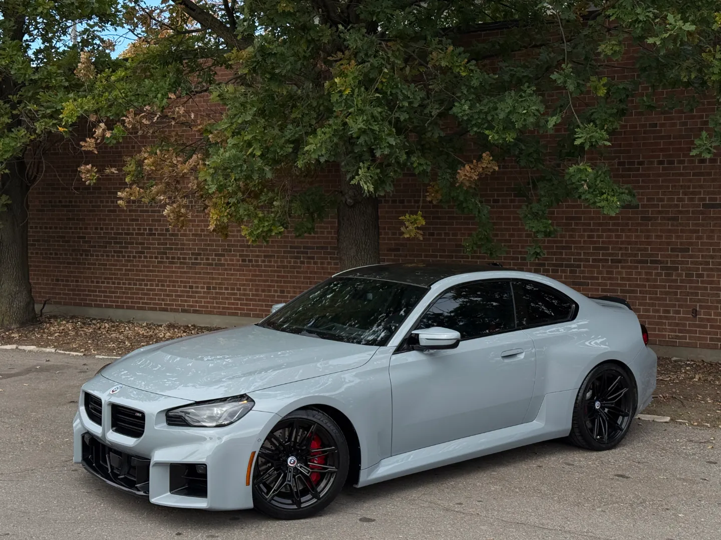 BMW M2 Carbon Roof Paint Protection Film — photo 2