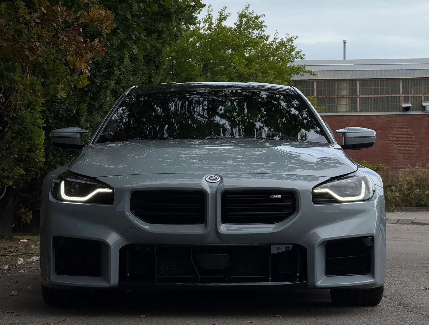 BMW M2 Carbon Roof Paint Protection Film — photo 5