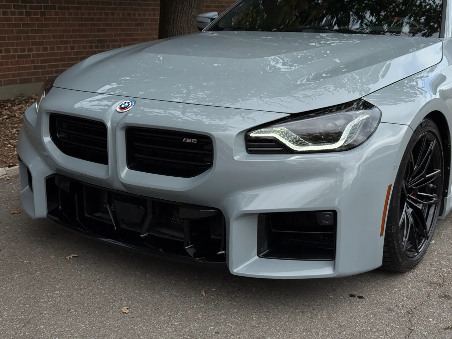 BMW M2 Carbon Roof Paint Protection Film — photo 9