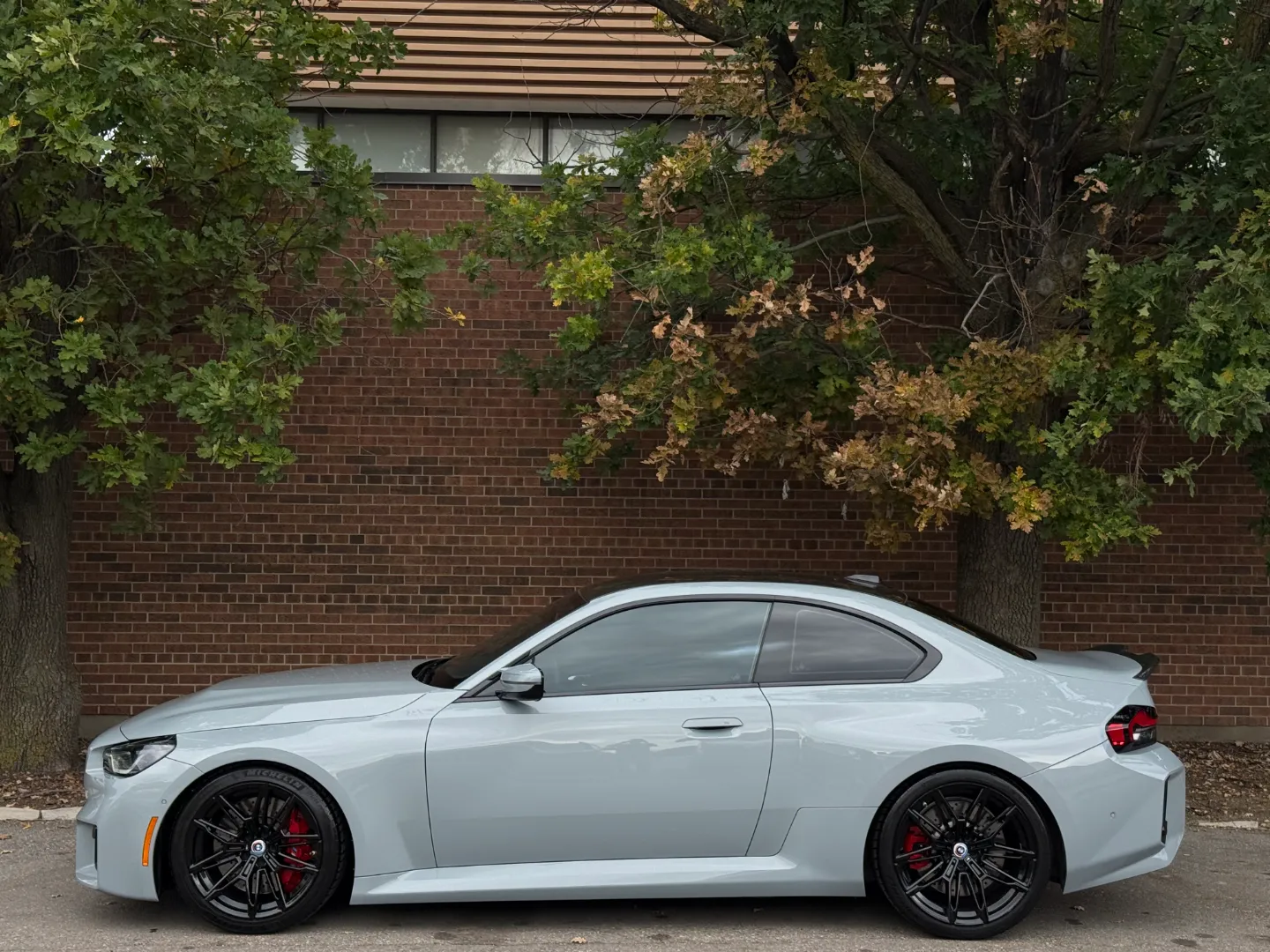 BMW M2 Carbon Roof Paint Protection Film — photo 11