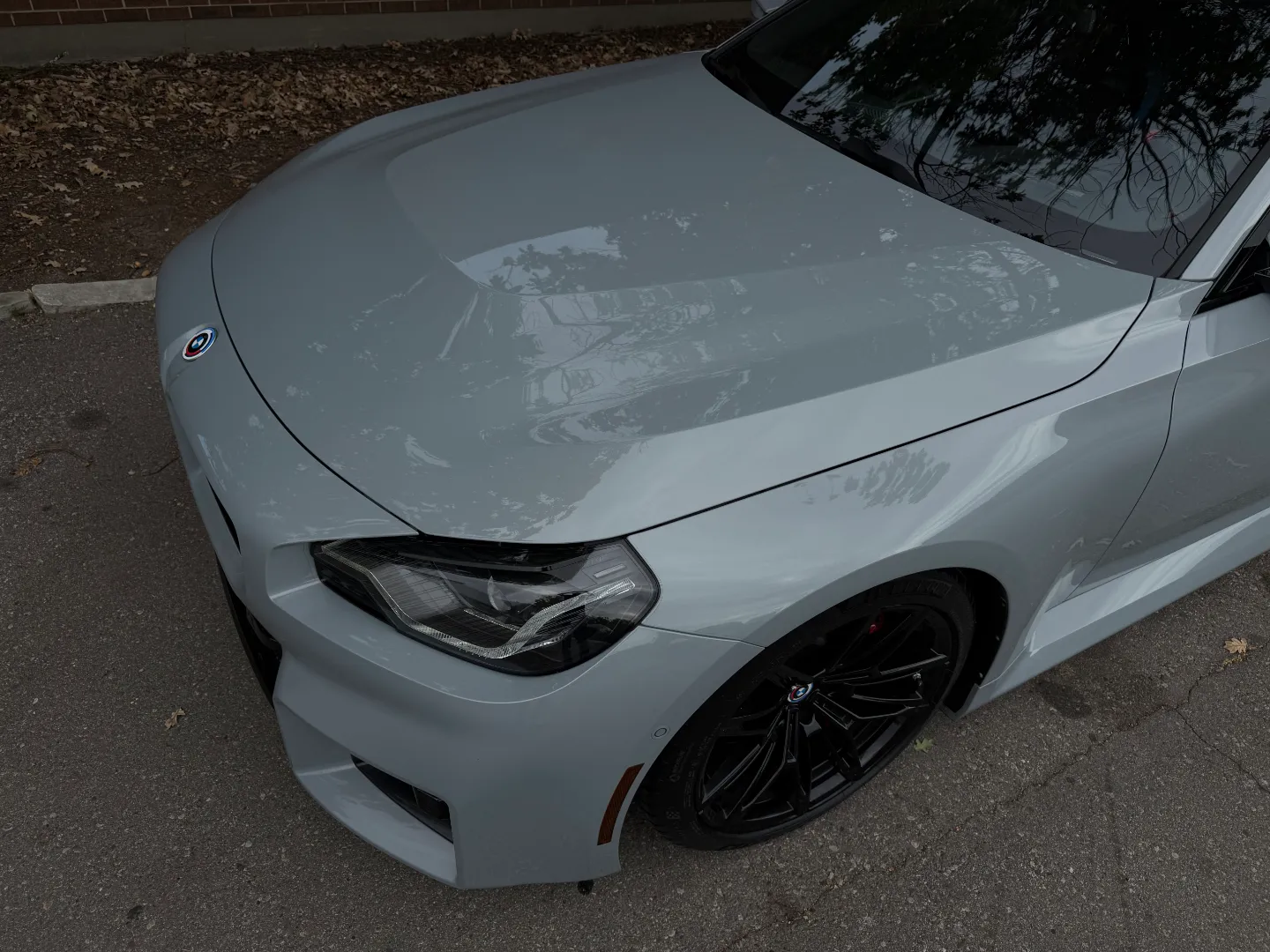 BMW M2 Carbon Roof Paint Protection Film — photo 17