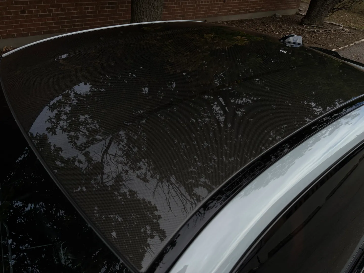 BMW M2 Carbon Roof Paint Protection Film — photo 20