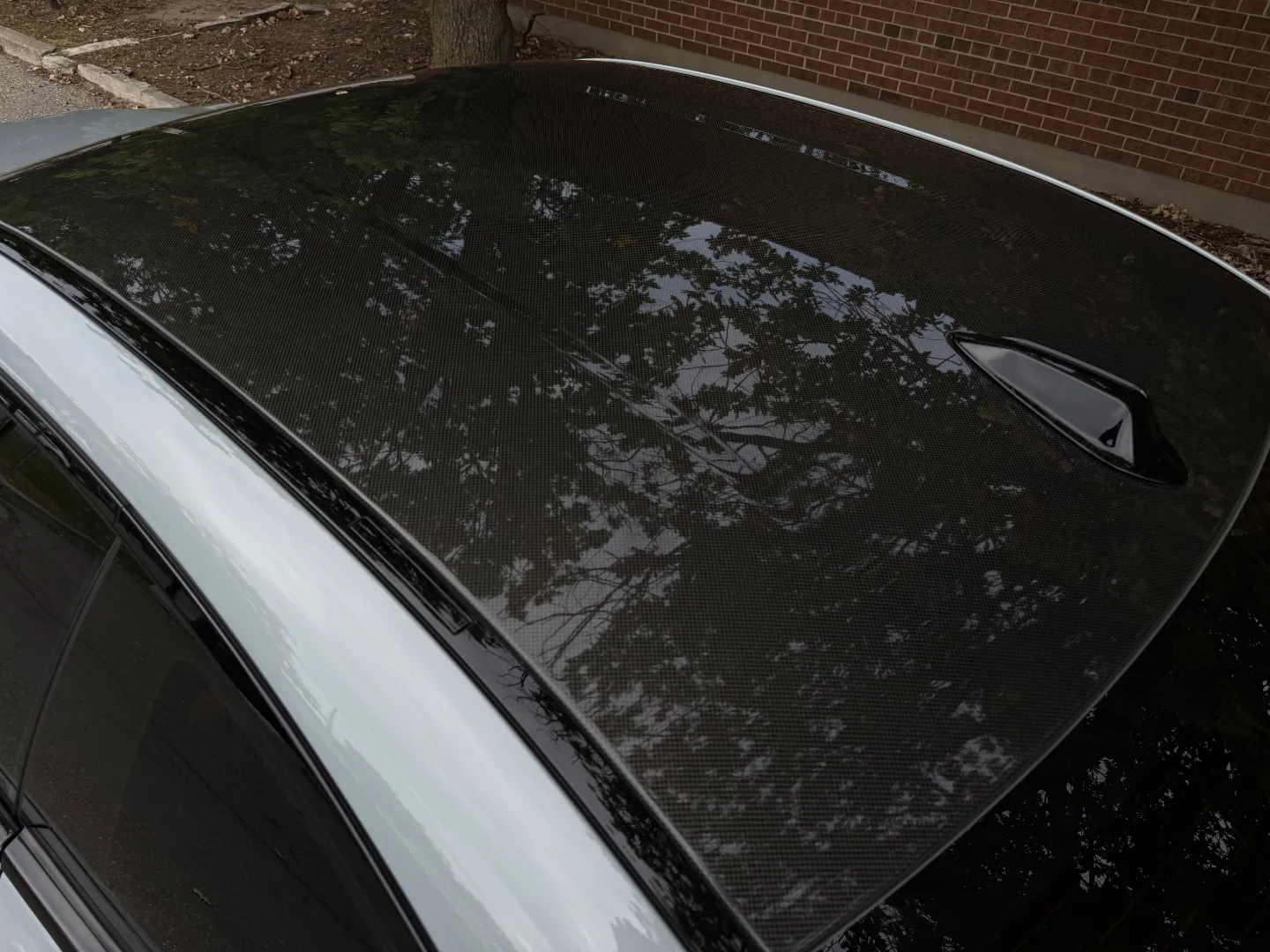 BMW M2 Carbon Roof Paint Protection Film — photo 21