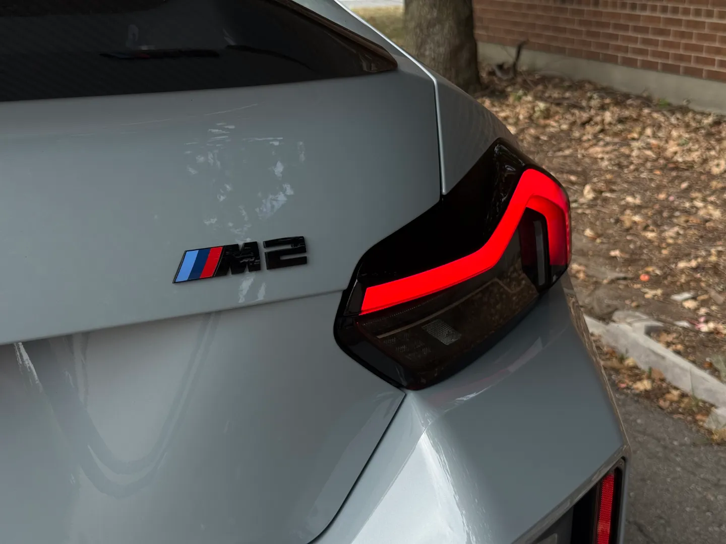 BMW M2 Carbon Roof Paint Protection Film — photo 27