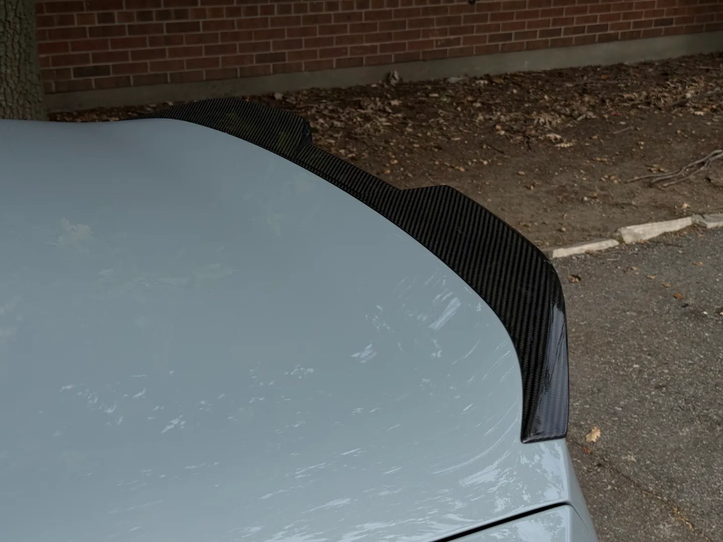 BMW M2 Carbon Roof Paint Protection Film — photo 30