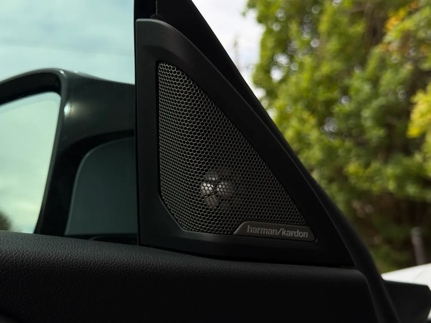 BMW M2 Carbon Roof Paint Protection Film — photo 44
