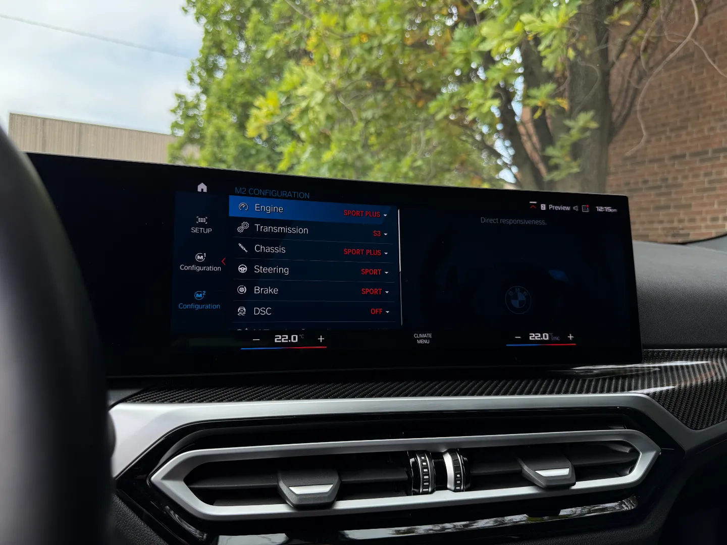 BMW M2 Carbon Roof Paint Protection Film — photo 62