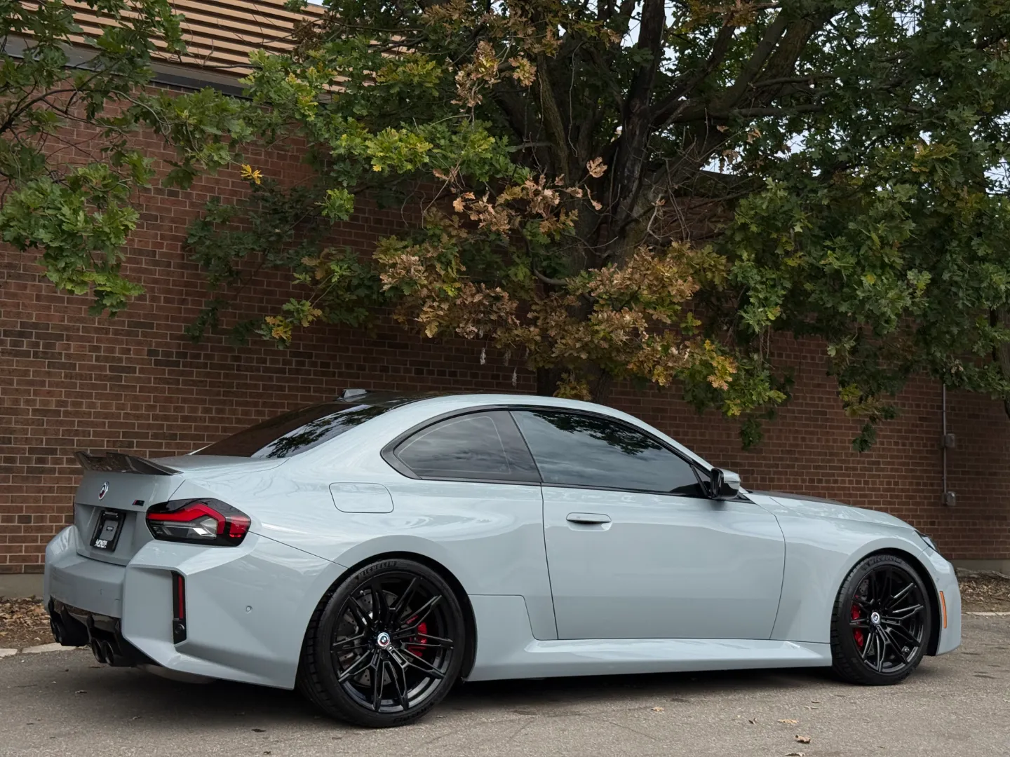 BMW M2 Carbon Roof Paint Protection Film — photo 79