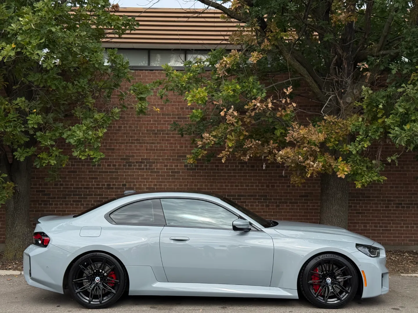BMW M2 Carbon Roof Paint Protection Film — photo 81