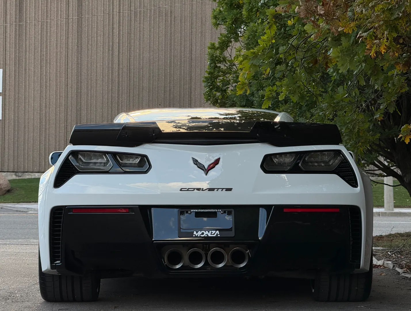 Chevrolet Corvette Z06 3LZ Z07 Performance Package Magnuson Supercharger — photo 31