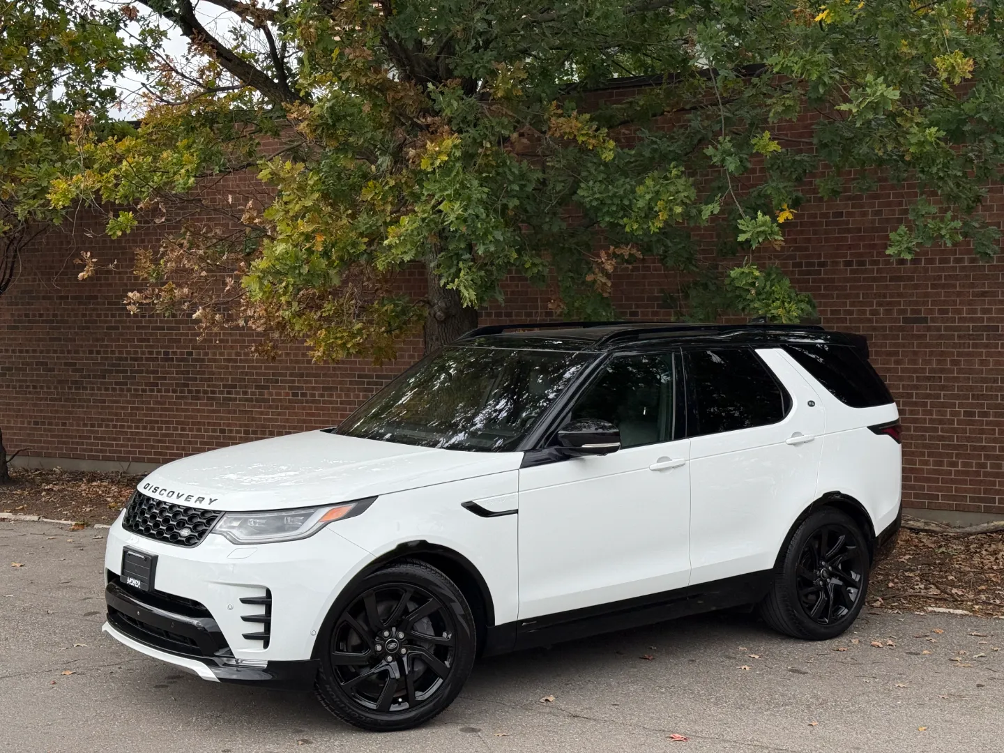 Land Rover Discovery S R-Dynamic — photo 2