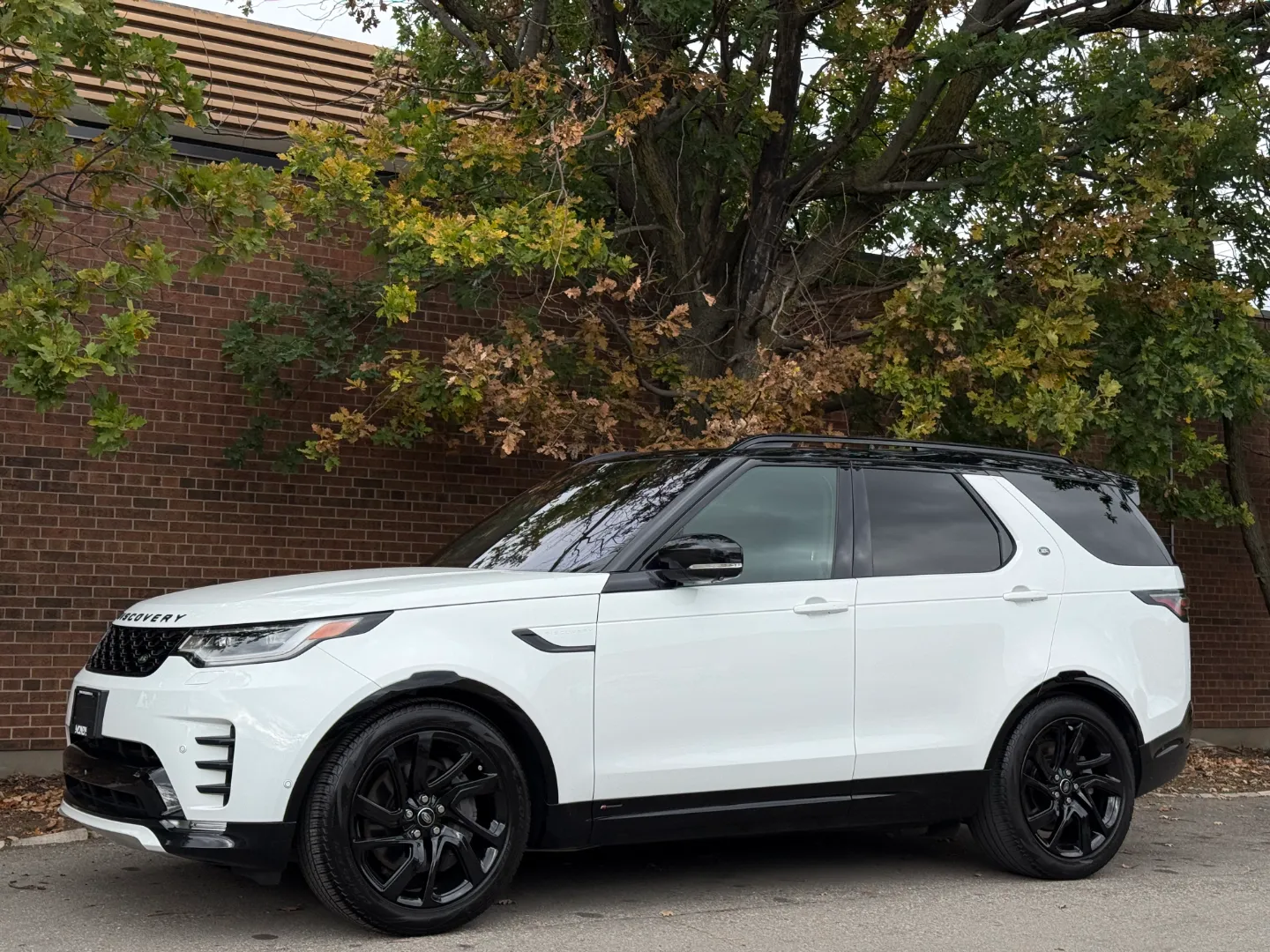 Land Rover Discovery S R-Dynamic — photo 10