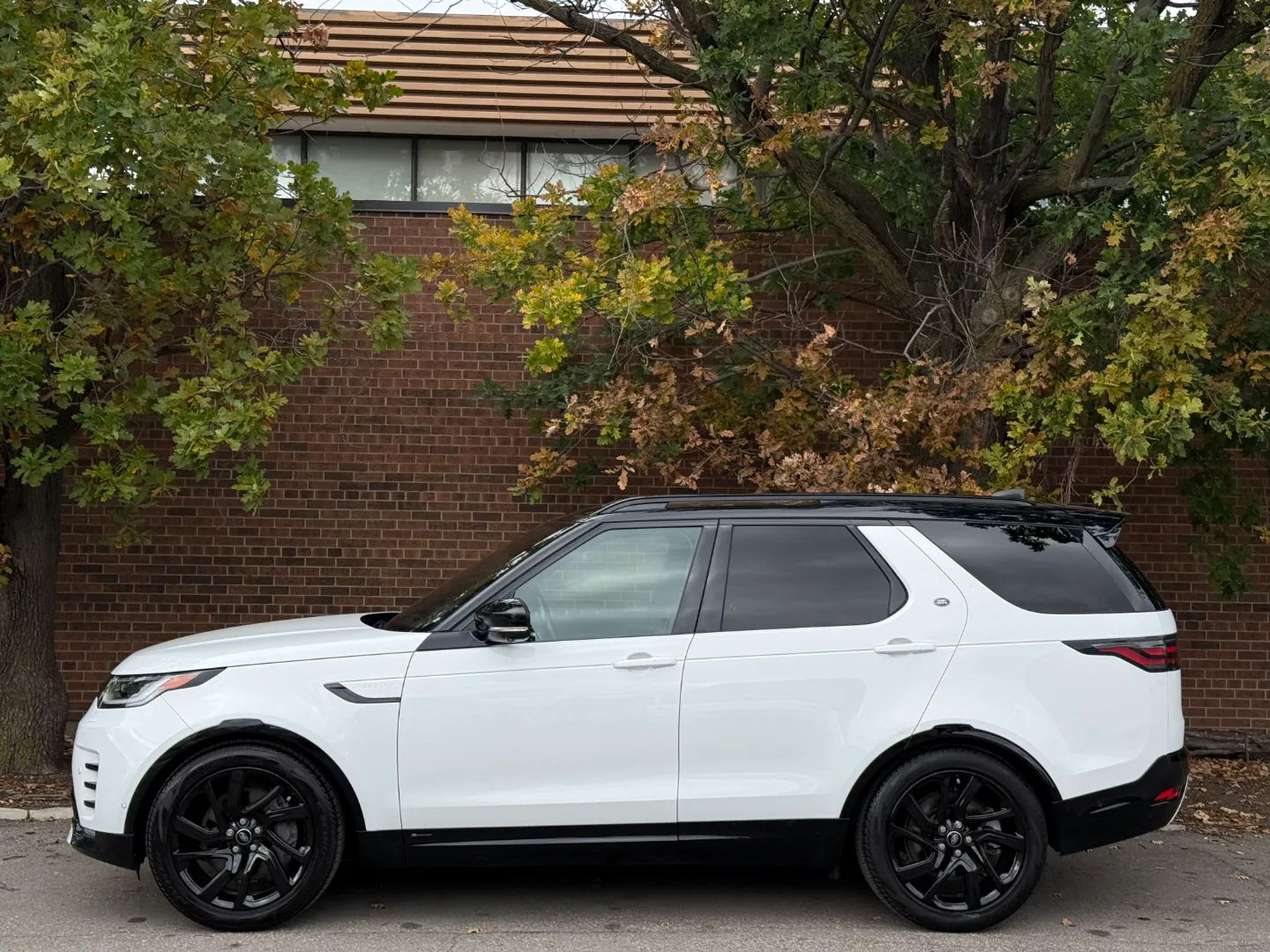 Land Rover Discovery S R-Dynamic — photo 11
