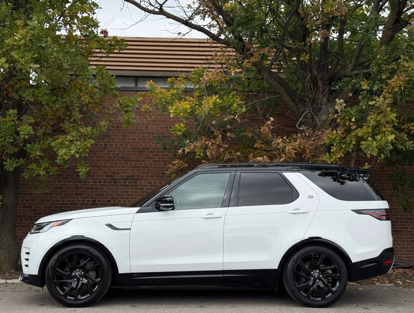 Land Rover Discovery S R-Dynamic — photo 12