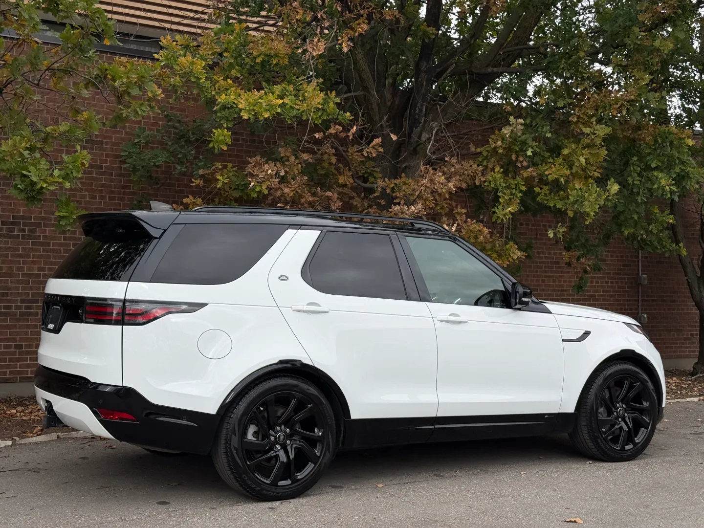 Land Rover Discovery S R-Dynamic — photo 73