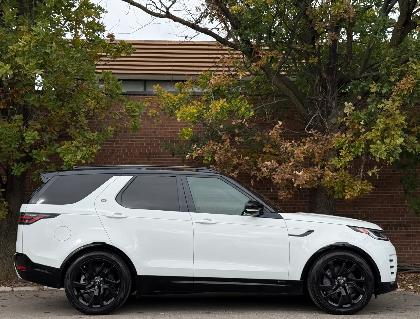 Land Rover Discovery S R-Dynamic — photo 74