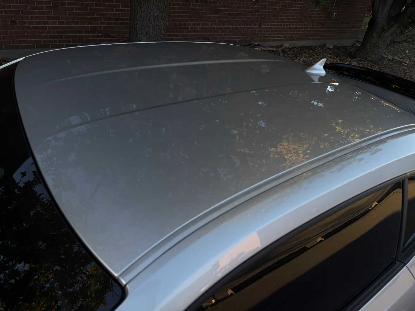 Chevrolet Camaro Z/28 Full Body Paint Protection Film 1/1,801 Total Units Produced — photo 25