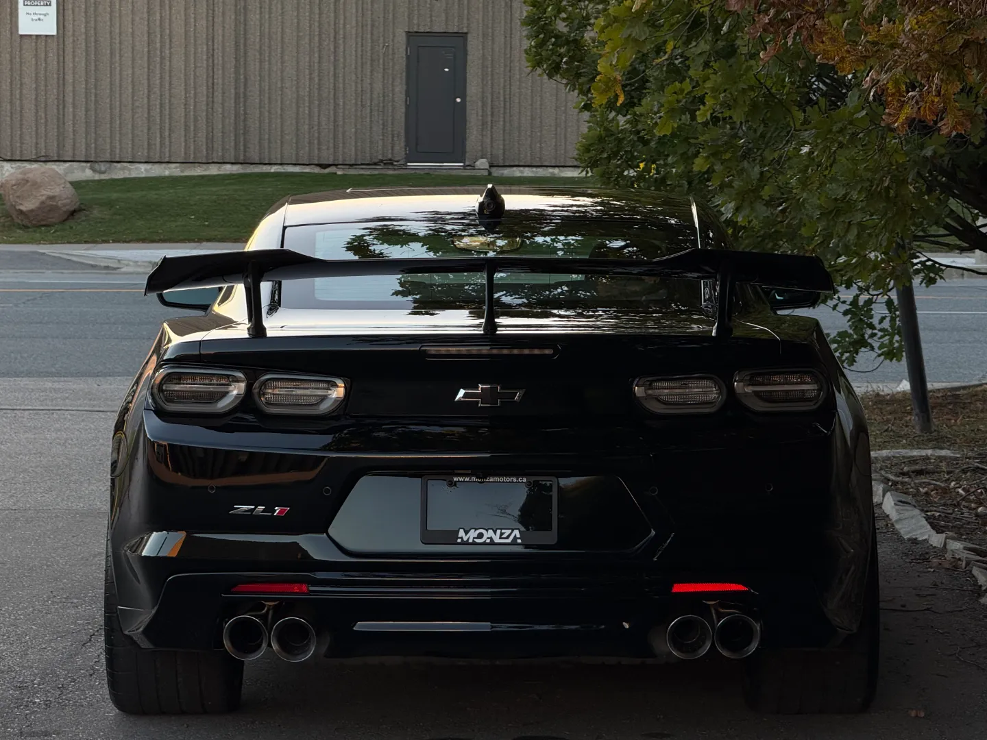 Chevrolet Camaro ZL1 Coupe 10 Speed Automatic Paint Protection Film — photo 27