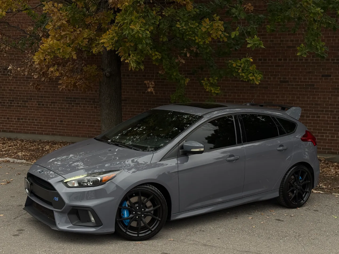 Ford Focus RS  — photo 2