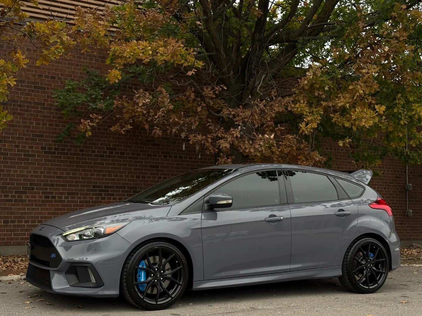 Ford Focus RS  — photo 9