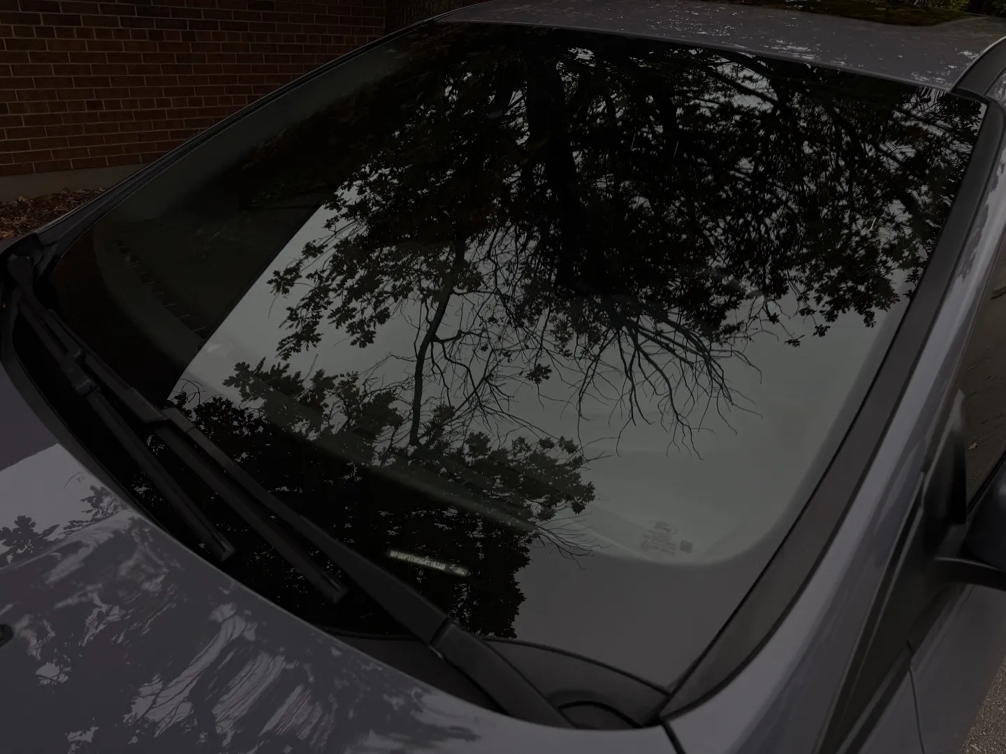 Ford Focus RS  — photo 17